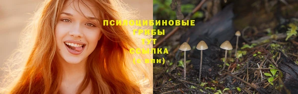 бутират Надым