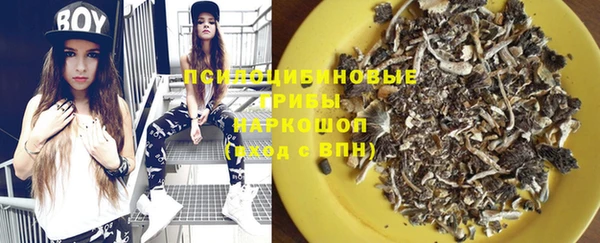 крисы Нефтекумск