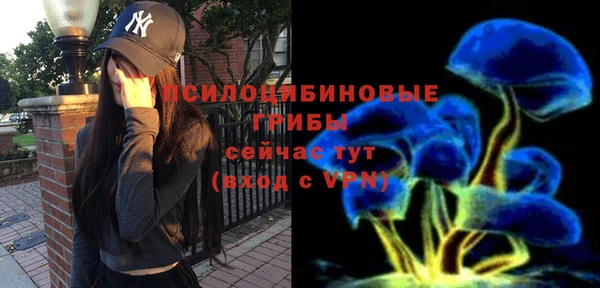 скорость Нея